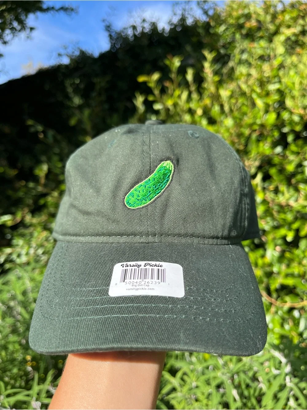 Varsity Pickle Big Deal Cap Pickle Ball Embroidered Retro Adjustable Hat